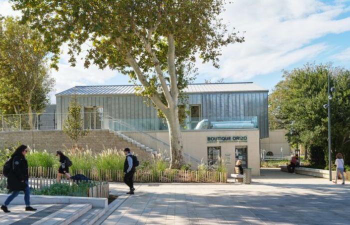 With the new central station square, Avignon stages its entrance to the city