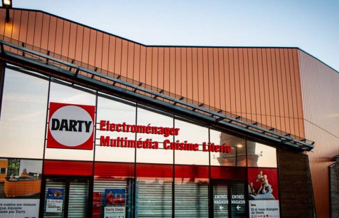 Darty, LG, Electrolux… Household appliance manufacturers sentenced to a huge fine for price fixing – Libération