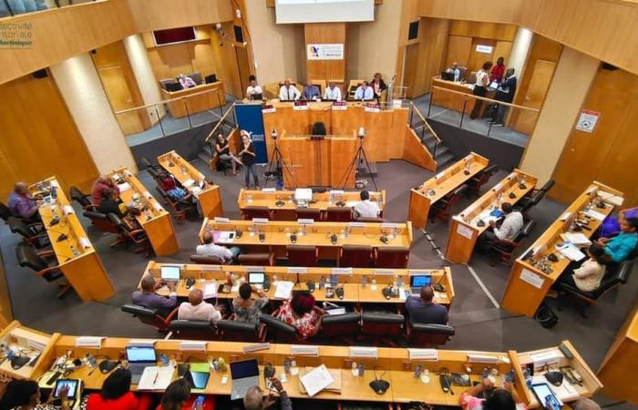 DIRECT. The vote on the initial budget of the CTM for the year 2025 at the heart of the plenary of the Assembly of Martinique