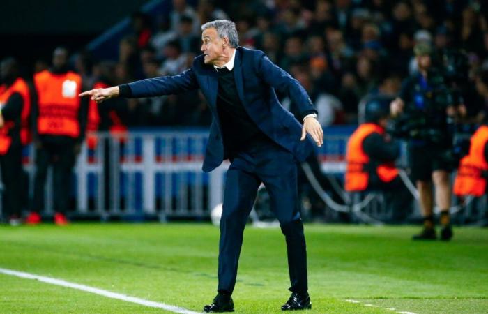 PSG holds its two reinforcements, Luis Enrique is jubilant