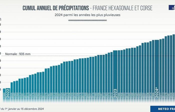 2024 climate report in France: precipitation, sunshine, temperatures… the weather year in figures