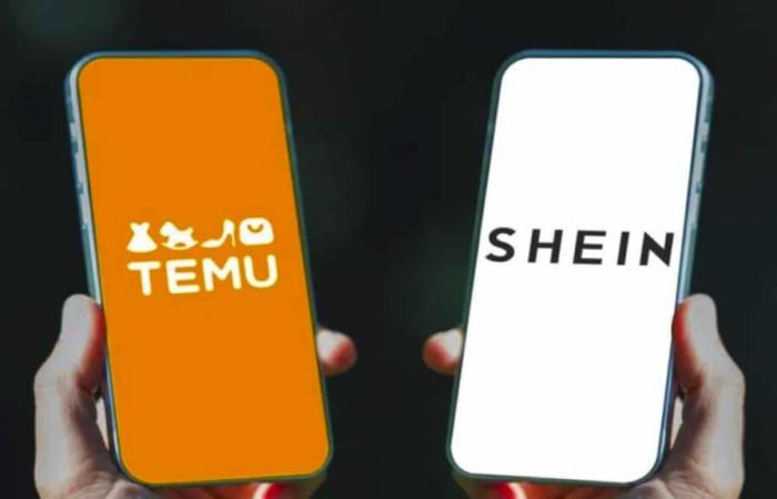 Goodbye Temu and Shein? Even cheaper, this new site at an unbeatable price will revolutionize everything