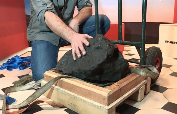 “Extraterrestrial matter”, a 105 kg meteorite arrives at the Angers Natural Sciences Museum