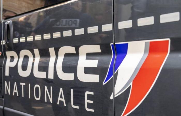 Lyon. Two homeless people arrested in Part-Dieu in possession of objects stolen from Roanne