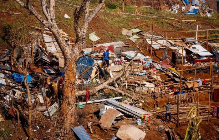 Cyclone Chido: the government decrees the freezing of prices of consumer products in Mayotte