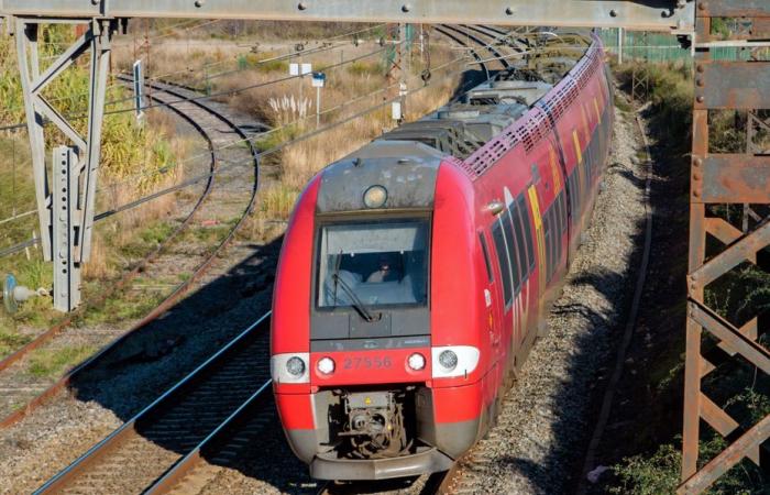 a woman hit by a TER, SNCF traffic suspended between Nîmes and Montpellier