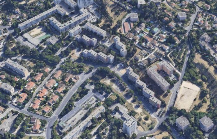 In Marseille, the Minor Seminary will go green – Libération