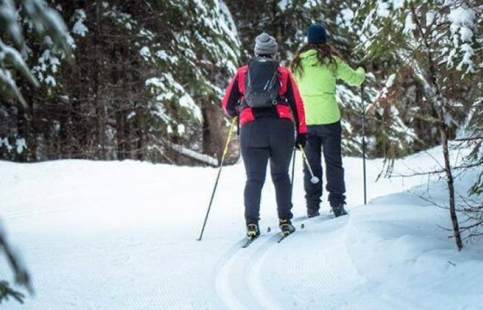 Parks Canada changes its mind and traces a ski trail in Saint-Gérard