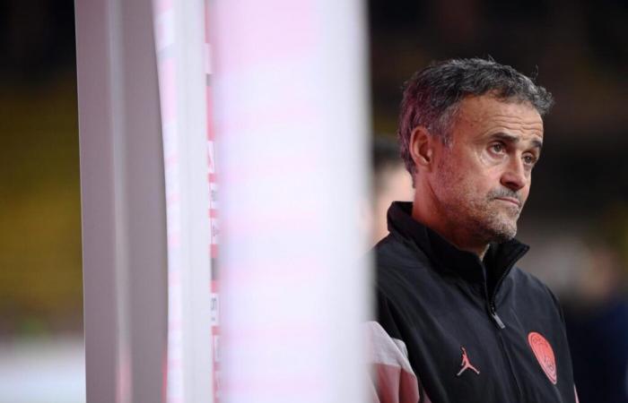 Luis Enrique after Monaco: “The championship remains very open” – Ligue 1 – J16 – Monaco-PSG (2-4)