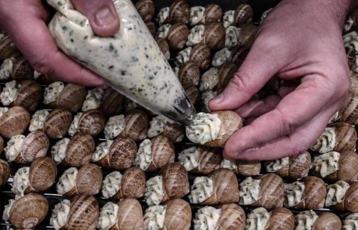 France, the country where snacks are king and snails are edible