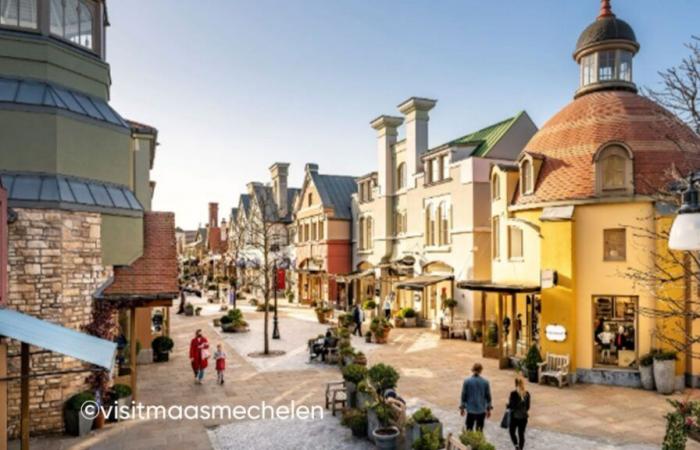 Maasmechelen Village shopping center completely evacuated: what we know