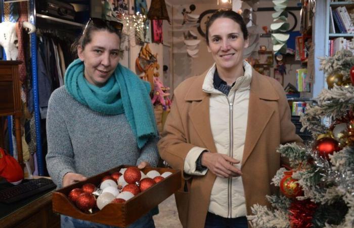 In La Rochelle, a recycling center creates social ties at the foot of a building: “The goal is for everyone to feel at home”