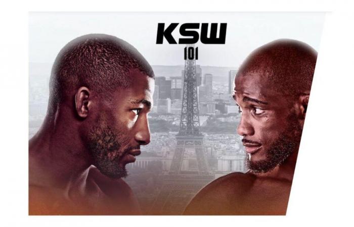 at what time and on which channel to watch the KSW 101 fight?