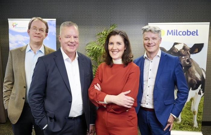 Cooperatives: FrieslandCampina (Netherlands) and Milcobel (Belgium) want to merge