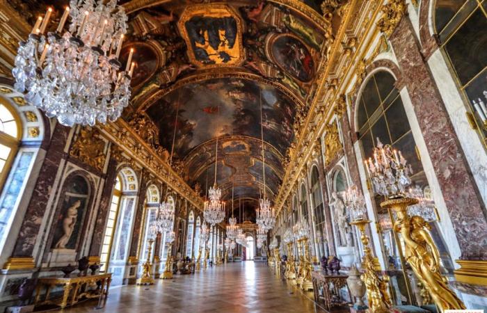 The Grand Dauphin, son of a king, father of a king and never a king: the exhibition at the Château de Versailles