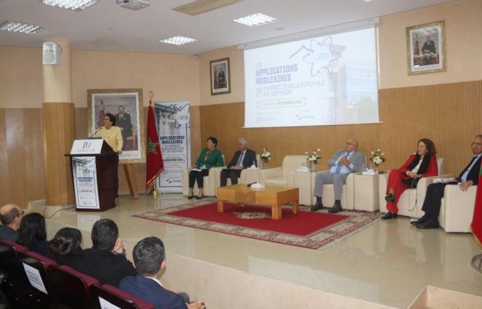 ​​​​​​Nuclear Applications in Morocco: Assessment and Future Prospects