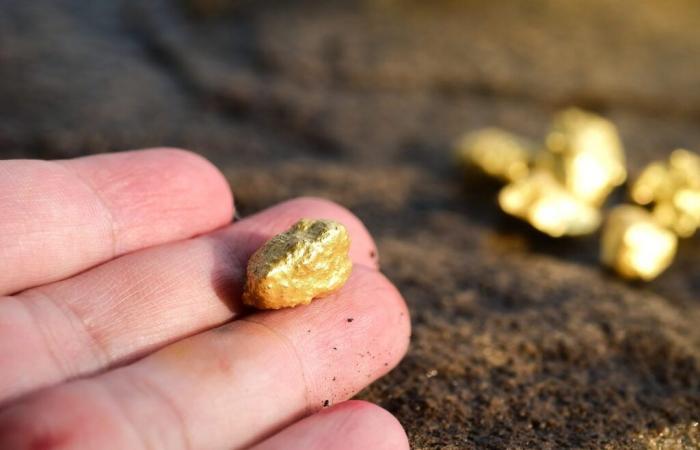 This French region attracts gold prospectors