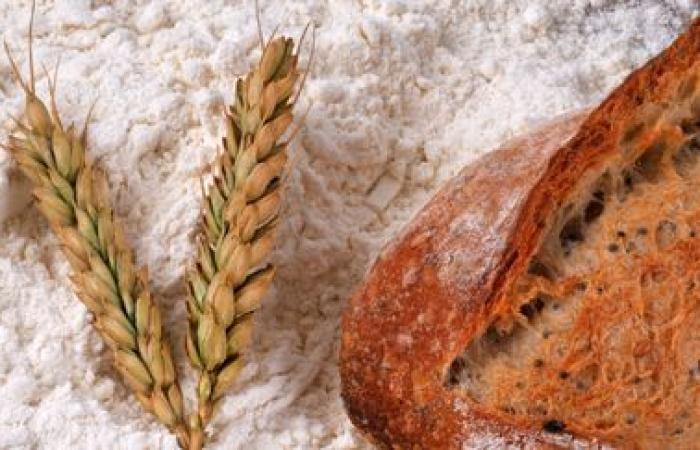 why ANSES is asking to enrich wheat flour sold in France with folic acid