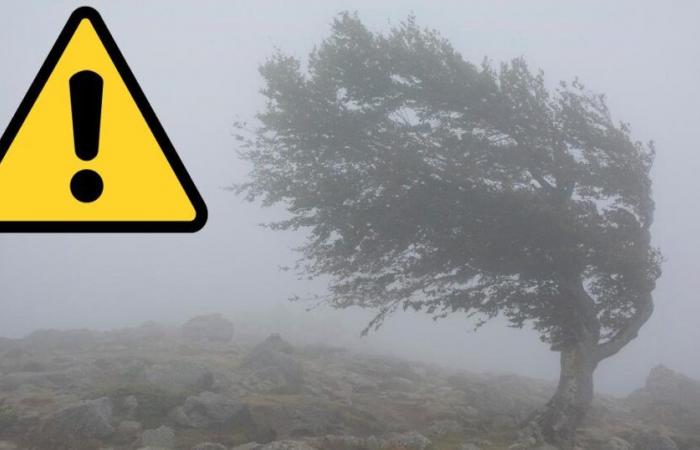 Met Office issues weekend weather warning for Powys