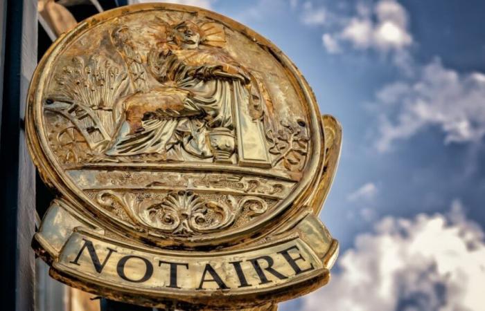 What is the outcome of the 2024 real estate market? (Notaries of France)