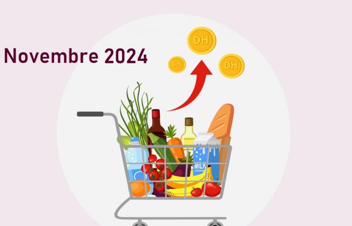 The Consumer Price Index (CPI) for the month of November 2024