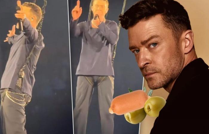 Justin Timberlake mocked online for harness accident