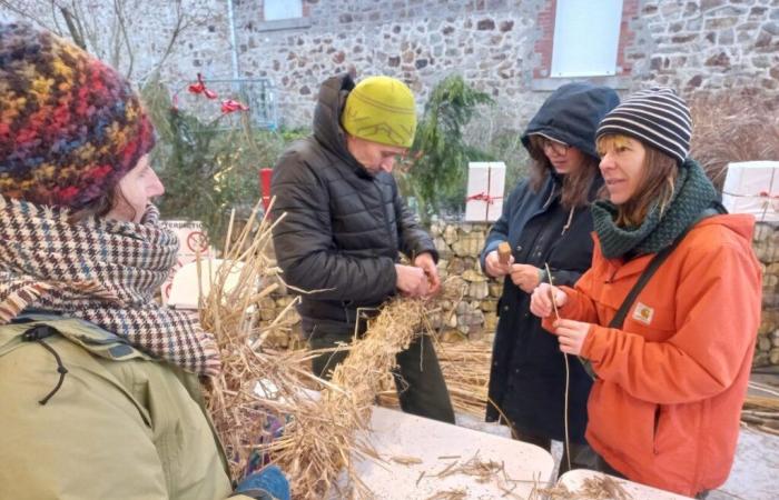 In The Hague, residents invited to several workshops to prepare for the next carnival!