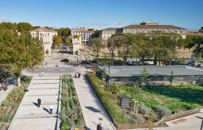 With the new central station square, Avignon stages its entrance to the city