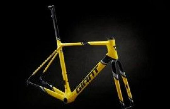 TCR Advanced SL Edition Legends frame kit, the rebirth of a Myth