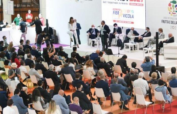 The small fruit sector in the spotlight during Macfrut 2025 – AgriMaroc.ma