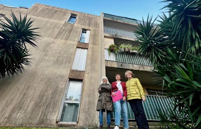 “Côte d’Azur Habitat takes us for fools”: local residents in distress faced with the state of their residence in Antibes