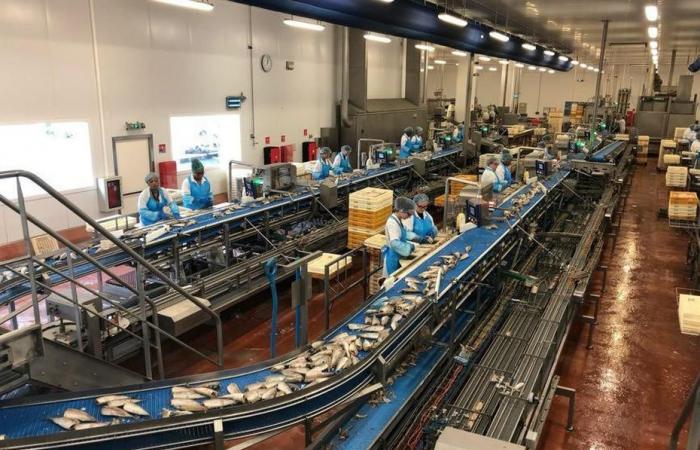 The last Saupiquet factory will close, 152 employees asked to “stay at home while waiting for the dismissal letter”