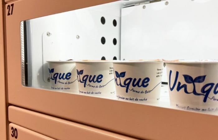 Beauvais. At UniLaSalle, students make and sell yogurt and mozzarella