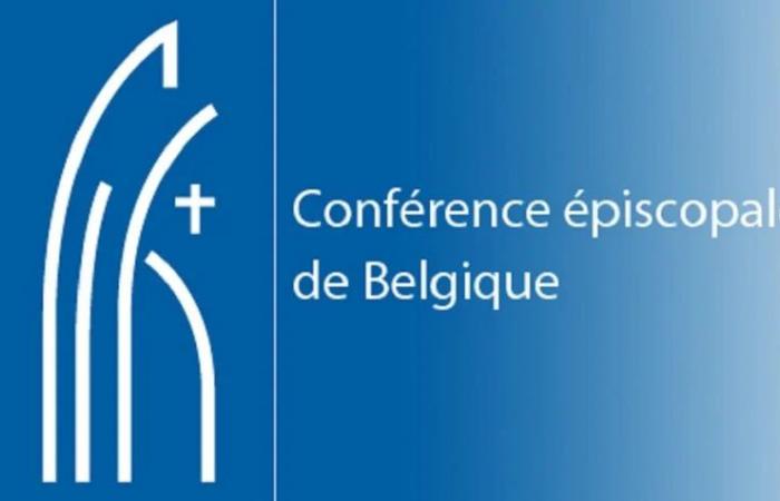 Belgium: The Church publishes its seventh annual report – ZENIT