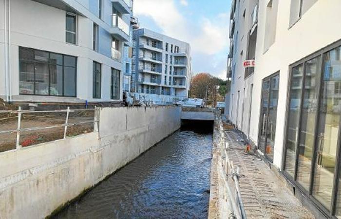 Renaissance in Vannes: visit to an extraordinary construction site