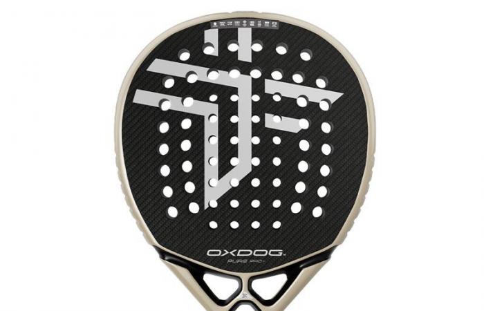 Stéphane Penso reveals his top 3 Oxdog rackets for 2025