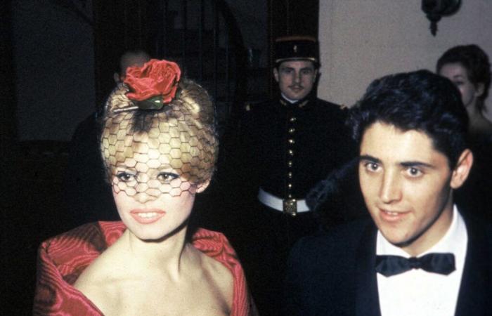 “When Brigitte Bardot left me, I was the laughing stock of the world”: the confession of Sacha Distel