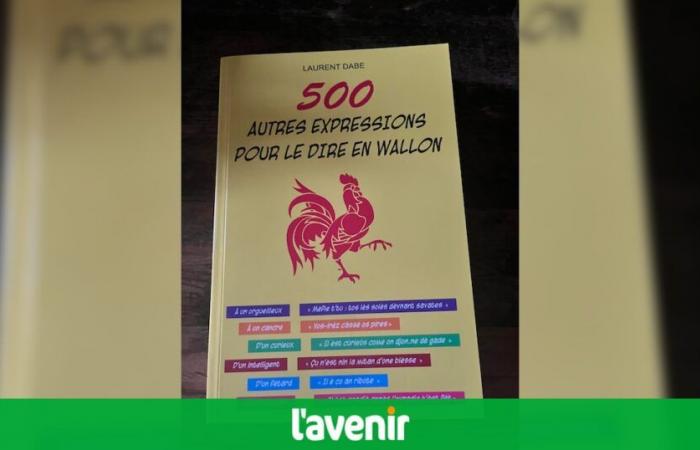 500 other expressions to say it in Walloon: the new work by Laurent Dabe