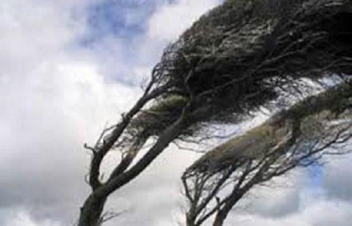 Yellow weather alert for strong winds until 8pm on Saturday 21 December