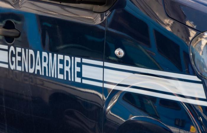 Vast trafficking in pregabalin, called “poor man’s drug”, dismantled in Clermont-Ferrand