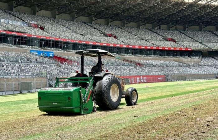 Aiming especially at Cruzeiro, Mineirão begins revitalizing the lawn