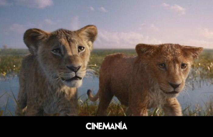 Explained ending of Disney's 'The Lion King' prequel