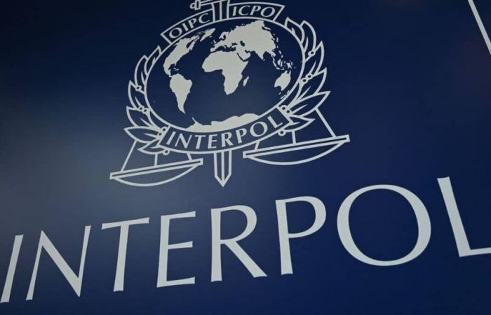 Operation Interpol: 58 “dangerous” fugitives arrested in Europe