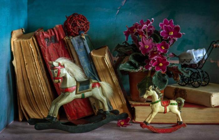 Give equestrian books for Christmas