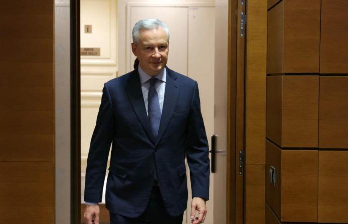 Bruno Le Maire, a very strategic reconversion in semiconductors