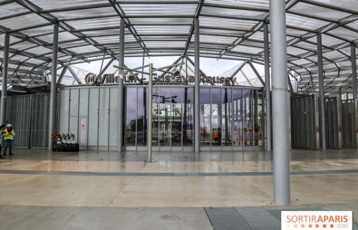 Île-de-France: we visited, before its opening, the spectacular Villejuif – Gustave Roussy station