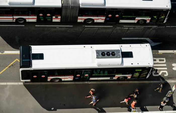 “Everything changes, nothing changes”, a mini-revolution is brewing in Lyon public transport