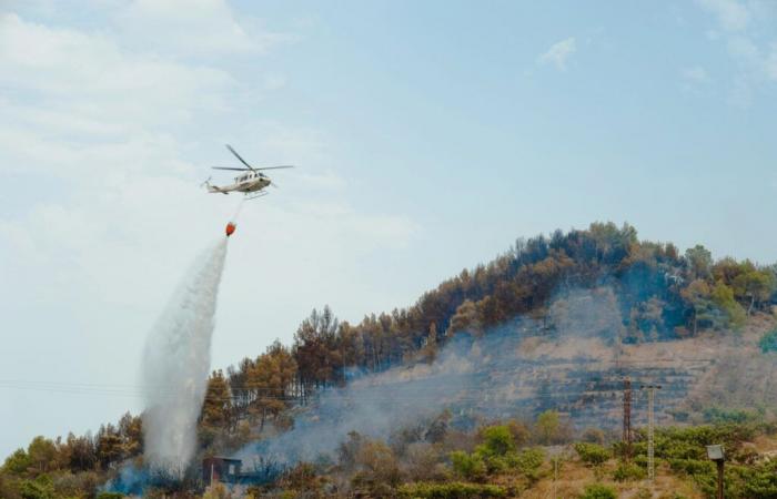 Andalusian entities collaborate to prevent and fight forest fires