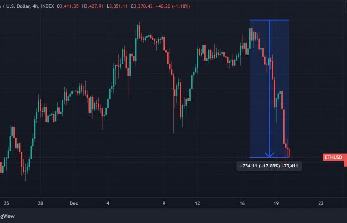 the crypto market sees red