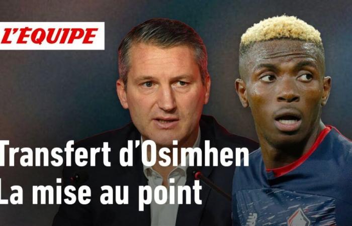 Olivier Létang on the transfer of Victor Osimhen: “LOSC won 7 million euros”